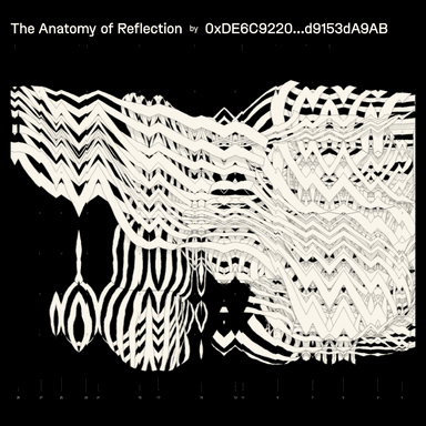 The Anatomy of Reflection - fxhash